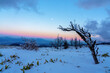 長野県美ヶ原の雪景色とビーナスベルト