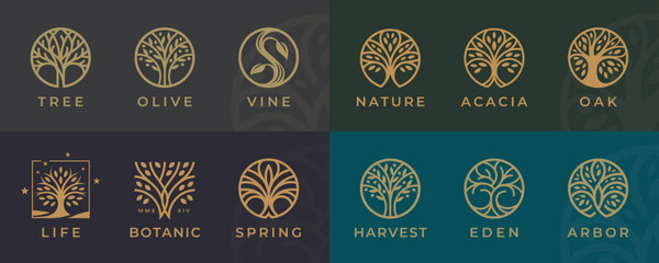 Wall Mural - Abstract Tree of life logo icons set. Botanic plant nature symbols. Tree branch with leaves signs. Natural design elements emblem collection. Vector illustration.