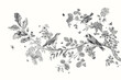 Garden Birds. Branch. Vector vintage illustration. Black and white