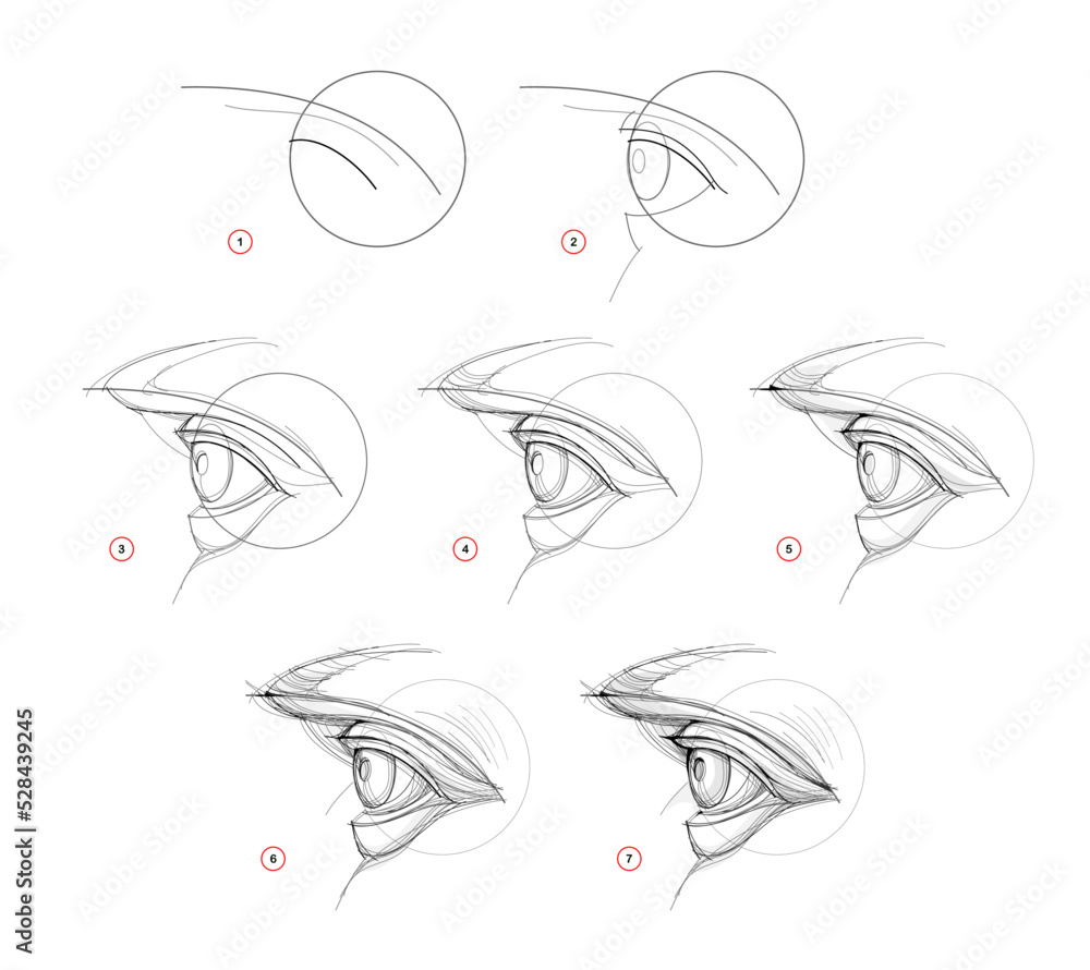 Page shows how to learn to draw sketch of human eye. Creation step by step  pencil drawing. Educational page for artists. Textbook for developing  artistic skills. Online education. Vector image. Stock Vector |, image size:1000x890
