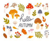 Set Of Different Mushrooms With Berries And Leaves. Hello Autumn. Vector Flat Illustration In Hand Drawn Style On White Background