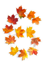 Wall Mural - number 6 from of colorful autumnal maple leaves on white background. top view, flat lay