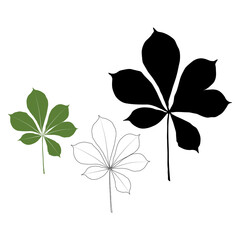 Wall Mural - Set of vector chestnut leaf outline, silhouette black and coloured icon. Simple chestnut leaves illustration for logo. Realistic hand drawn leaves illustration set on white background.