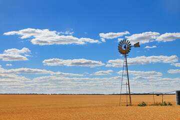 Wall Mural - Windmill in the Australian outback