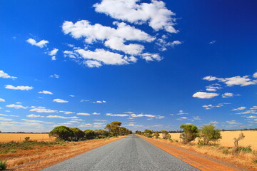 Poster - The road across Australian farm fields