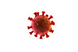 covid 19 coronavirus  omicron  isolated