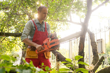 Wall Mural - A man is sawing a tree with a chainsaw.