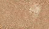 Fototapeta Konie - Vector pattern leopard background