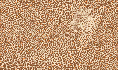 Vector pattern leopard background