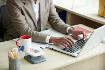 Wall Mural - entrepreneur working on laptop