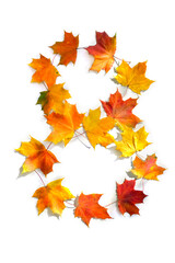 Wall Mural - number 8 from of colorful autumnal maple leaves on white background. top view, flat lay