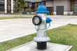 Grey and blue fire hydrant on sidewalk in the yard in residential complex with asphalt road and building on background.