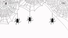 Black Spiders Hanging From Webs. Static Shot Of Animated Graphic Design Against White Background. Concept Of Halloween. High Quality FullHD Footage
