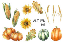 Thanksgiving Autumn Clip Art. Watercolor Autumn Illustration Set Of Leaves, Sunflowers, Corn, Pumpkins And Wheat. Farm Harvest. Thanksgiving Hand Drawn Elements.
