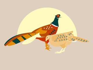 Pair of pheasants - male and female. Illustration of two lovely birds. Cartoon style. Vector elements of two chickens isolated on a beige background