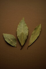 Three green dry bay leaves on the brown table