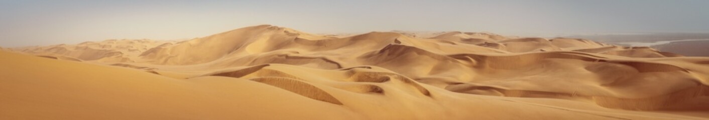 travel to africa, adventures, safari or expedition to namib desert, panoramic view. wilderness with 