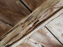 Old Wooden And Termite Damage At Home.	