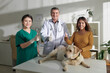 © DragonImages - Dpg and Owner in Veterinary Clinic