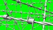 White barbwire on green chroma key background.
3D illustration.
