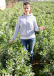 © JackF - Positive woman checking seedlings of fava beans