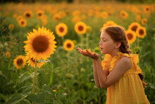 Happy Summer In The Countryside. Cheerful Red-haired Naughty Girl With Pigtails On A Field Of Sunflowers At Sunset