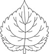 mulberry leaf vector icon black and white
