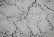 canvas print picture - Grunge cracked texture of an old floor. Background of damaged stone