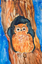 Children's Diy Watercolor Drawing On Textured Paper - A Brown Bird Owl Or Eagle Owl Or Filin Sits In A Hollow Tree At Night. Wild Animal. Kids Art Handmade Painting