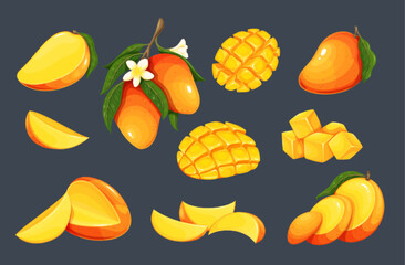 Canvas Print - Mango set vector illustration. Cartoon isolated whole fresh raw tropical fruit cut into halves, quarters, slices and cubes for healthy dessert. Mango with flowers and leaves on tree branch