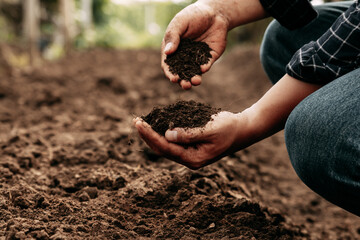 hand of farmer inspecting soil health before planting in organic farm. soil quality agriculture, gar