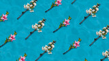 Fototapeta  - Trama flores sobre el agua