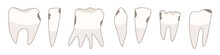 A Net With Damaged Molars. Vector Illustration In Doodle Style.