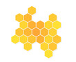 Yellow honeycomb isolated on white background.