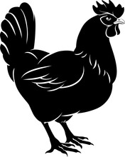 Chicken Food Illustration