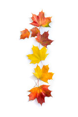 Wall Mural - number 1 from of colorful autumnal maple leaves on white background. top view, flat lay