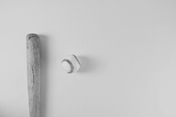 Canvas Print - Wooden baseball bat with ball, isolated on background with copy space for sport.