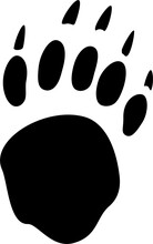 Bear Tracks Or Footprints Isolate Black Silhouette