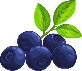 Canvas Print - Blueberries bilberry, huckleberry or whortleberry