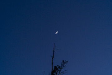 Wall Mural - moon