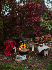 Wall Mural - Three females best friends sitting around bonfire in casual clothes warming up and communicating