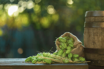 Beer brewing ingredients- hop cones, on the table with the aged barrel in front of hops plantation with sunlight. Craft beer brewery concept. Oktoberfest concept background.