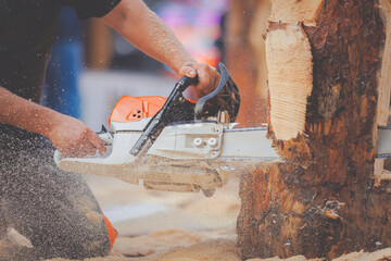 Wall Mural - Close-up woodcutter sawing chain saw in motion, sawdust fly to sides. Concept Chainsaw industry