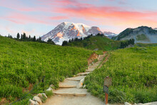 A Beautiful Set Of Stone Stairs Along The Skyline Trail In Mt Rainier National Park At Sunrise. The 5.5 Mile Trail In Paradise Area Provides Splendid View Of Mt Rainier, Washington USA. 