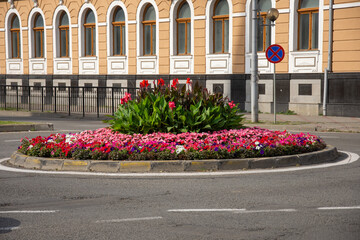 Wall Mural - Romania, roundabout with red flowers In Bistrita on train station Street, 2022