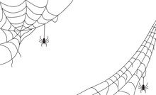 Spider And Web Background For Halloween Design