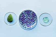 Sample Of Gel Bubbles And Green Leaf In Petri Dish On Blue Background, Hard Shadows. Abstract Science, Medicine And Beauty Concept