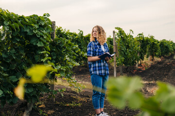 Woman agronomist specialist standing in the middle of vineyards checking the quality in the production of grapes. Farm with a mobile app. IOT and smart farming