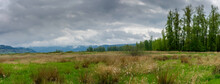 Steigerwald Lake National Wildlife Refuge, Camas Washington	