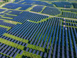 © aedkafl - op view of solar panels (solar cell) in the solar farm with green tree and sun lighting reflect. Photovoltaic plant field, Solar panels in aerial view